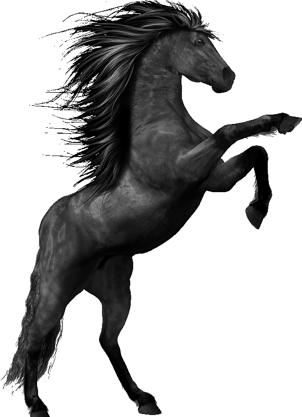 Then The Crops Were Effected Which Meant Those Who - Horse Mane Silhouettes (636x860), Png Download