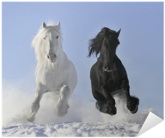Horse In Snow Gif (400x400), Png Download