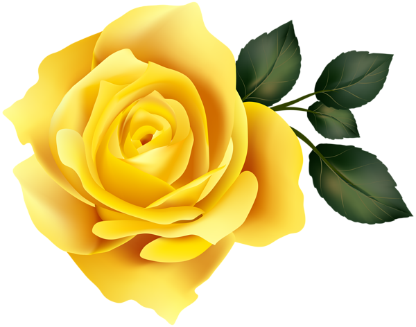 Banner Clip Art Image Gallery Yopriceville High Quality - Yellow Roses Png Clipart (600x472), Png Download
