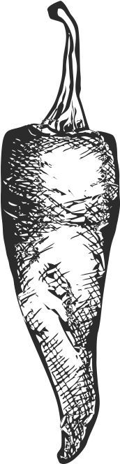 Our Range Jpg Library - Pepper Drawing Transparent (533x800), Png Download