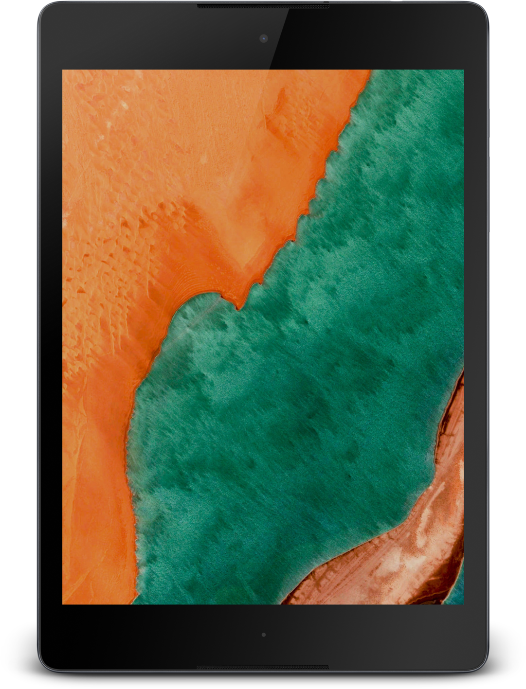 Google Nexus 9 Screen And Glass Repair (1200x1652), Png Download