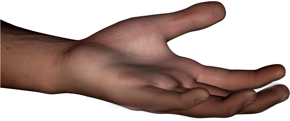 Human Arm Png - Human Hand Transparent (960x593), Png Download