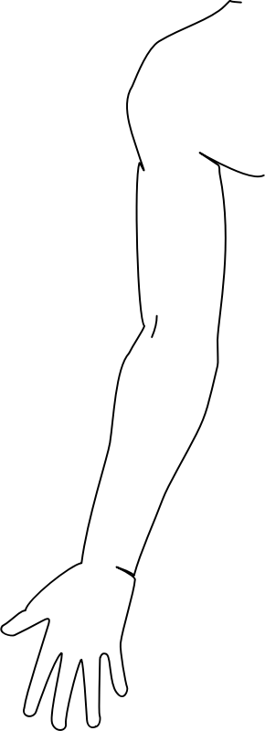 Medium Image - Line Art (290x800), Png Download