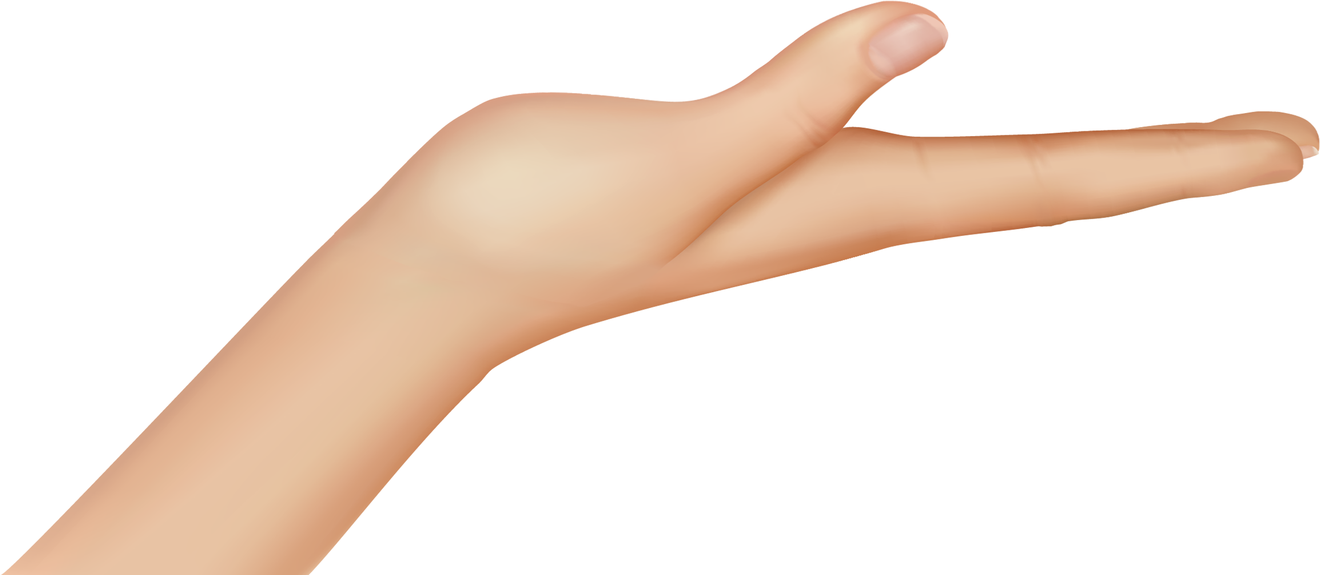 Hand Png Clipart Image - Hand Showing Something Png (2803x1299), Png Download