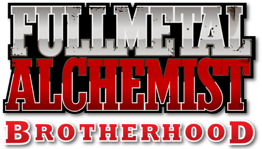 Fullmetal Alchemist Brotherhood 51e2acb67e52f - Fullmetal Alchemist Manga Volume 13 (800x310), Png Download