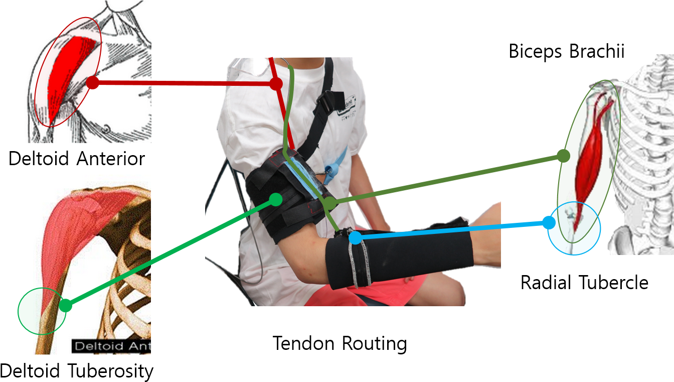 Daegeun Park, Dae Young Lee, Hyunki In, And Kyu Jin - Anterior (1402x782), Png Download