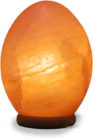 Egg-shape - Avatar (559x559), Png Download