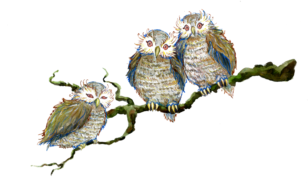 Tiny Strange Owls Carried Anthony And Mordecai Far - Illustration (1100x664), Png Download