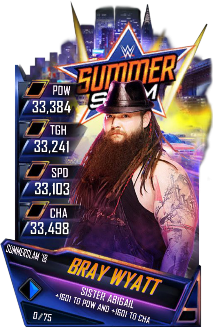 Braywyatt S4 21 Summerslam18 - Wwe: Summerslam 2016 (dvd) (733x1158), Png Download
