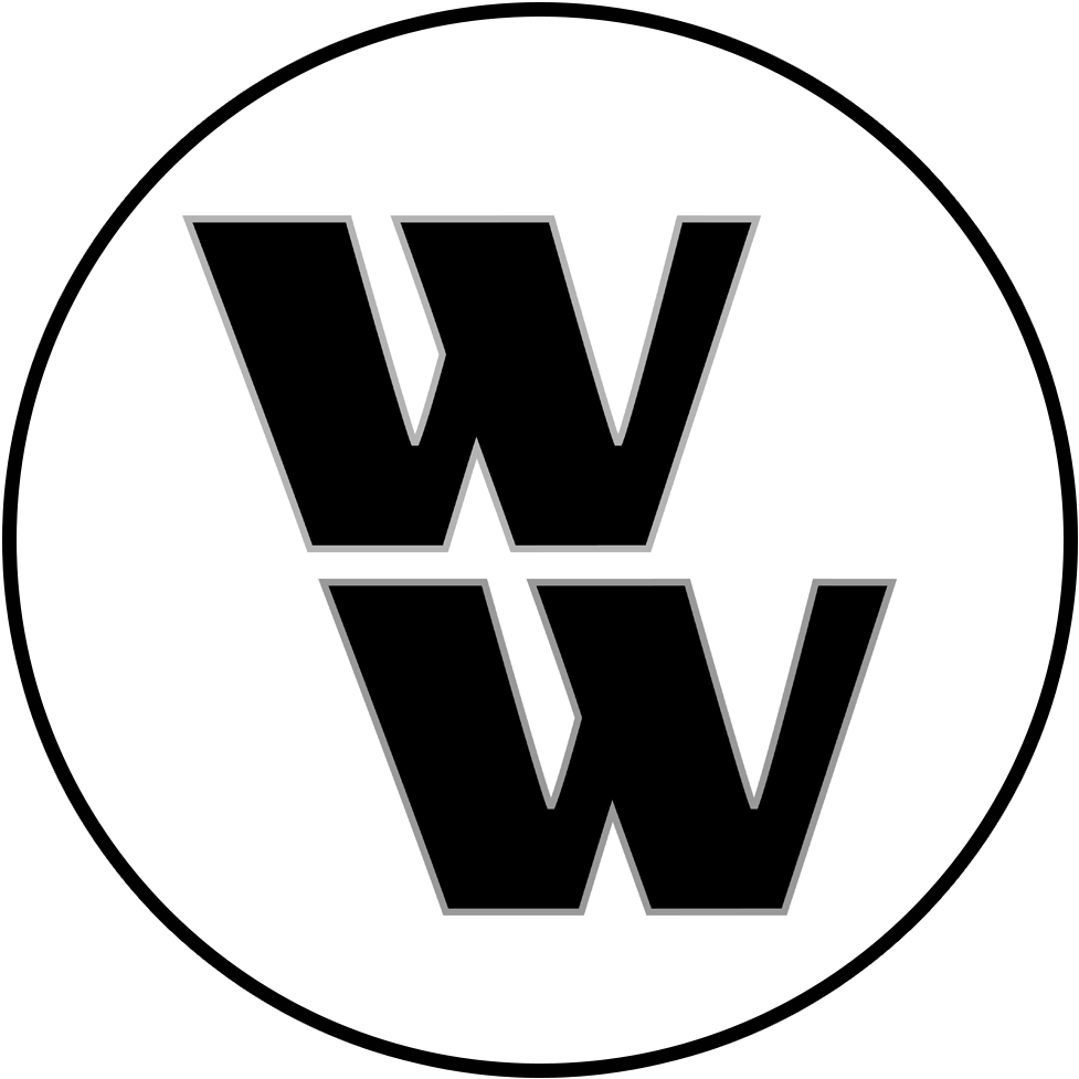 The Wonder Women Project Is A Series Of Collectible - Wonder Woman (1000x1000), Png Download