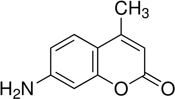Explain The Nomenclature Of 7 Amino 4 Methylcoumarin - 3 5 Dimethylpyrazole (640x379), Png Download