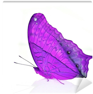 Wallpaper (400x400), Png Download