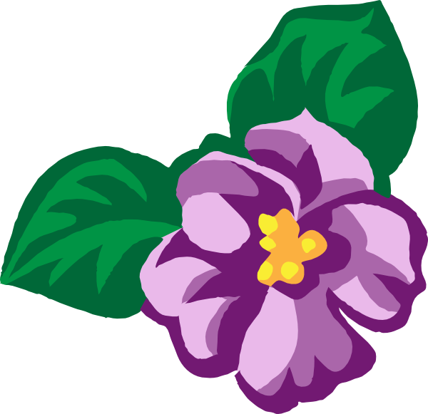 African - Violet Flower Clip Art (600x581), Png Download