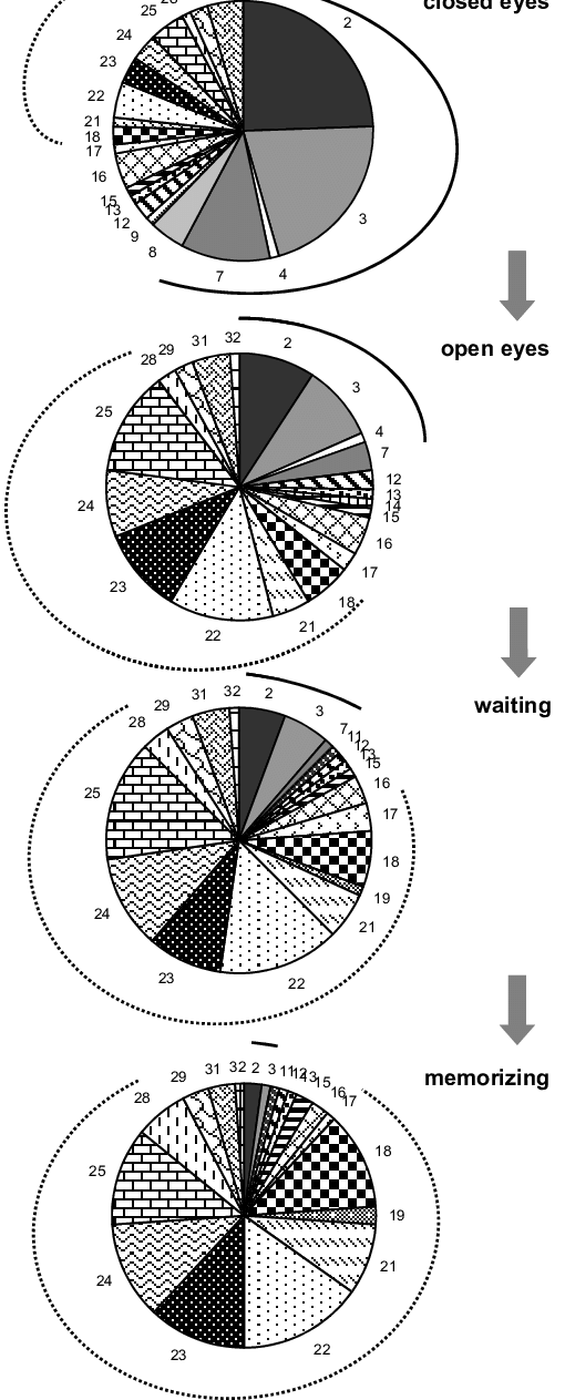 The Pie Diagrams During Consecutive Changes Of The - Circle (510x1263), Png Download