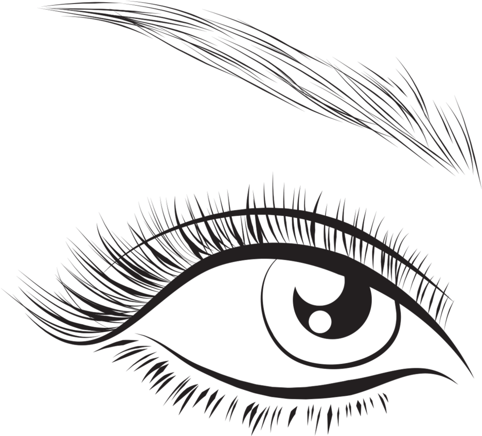 Png For Free Download On Mbtskoudsalg - Eyelash (1000x886), Png Download