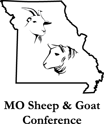 3rd Annual Missouri Sheep & Goat Conference - Ladies Mule Slippers, Sheepskin, Wool Lined - Papucs (356x424), Png Download