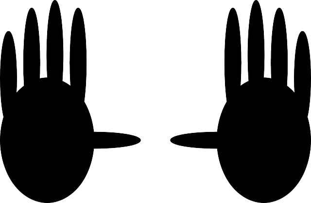 Black, Silhouette, Counting, Hands, Ten, Fortran, Hand - Animasi Dua Telapak Tangan (640x417), Png Download