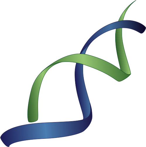 Double Helix Icon - Double Helix (499x501), Png Download