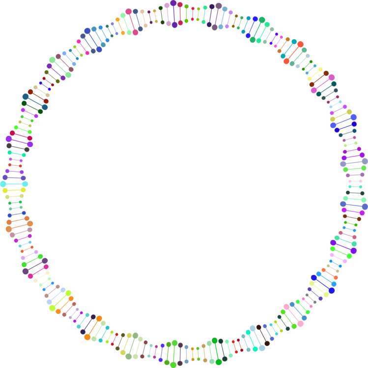 Nucleic Acid Double Helix Dna Circle Computer Icons - Dna (749x750), Png Download