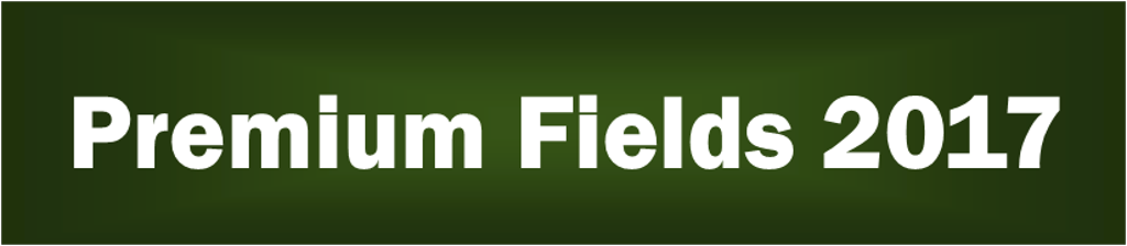 Soccer Field Dimensions - Parallel (1024x224), Png Download