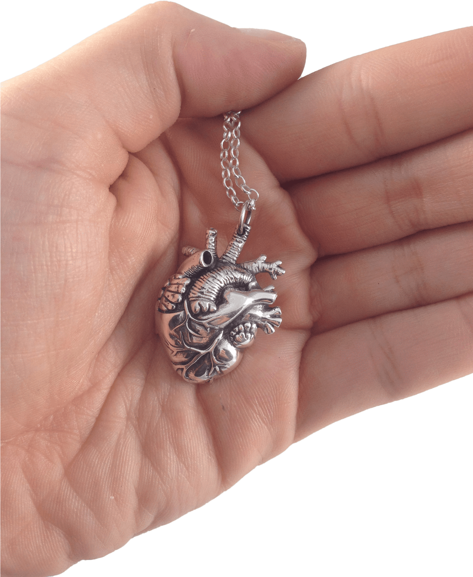 Mini Gold Anatomical Heart Pendant - Heart Pendant - Gold (1536x2048), Png Download