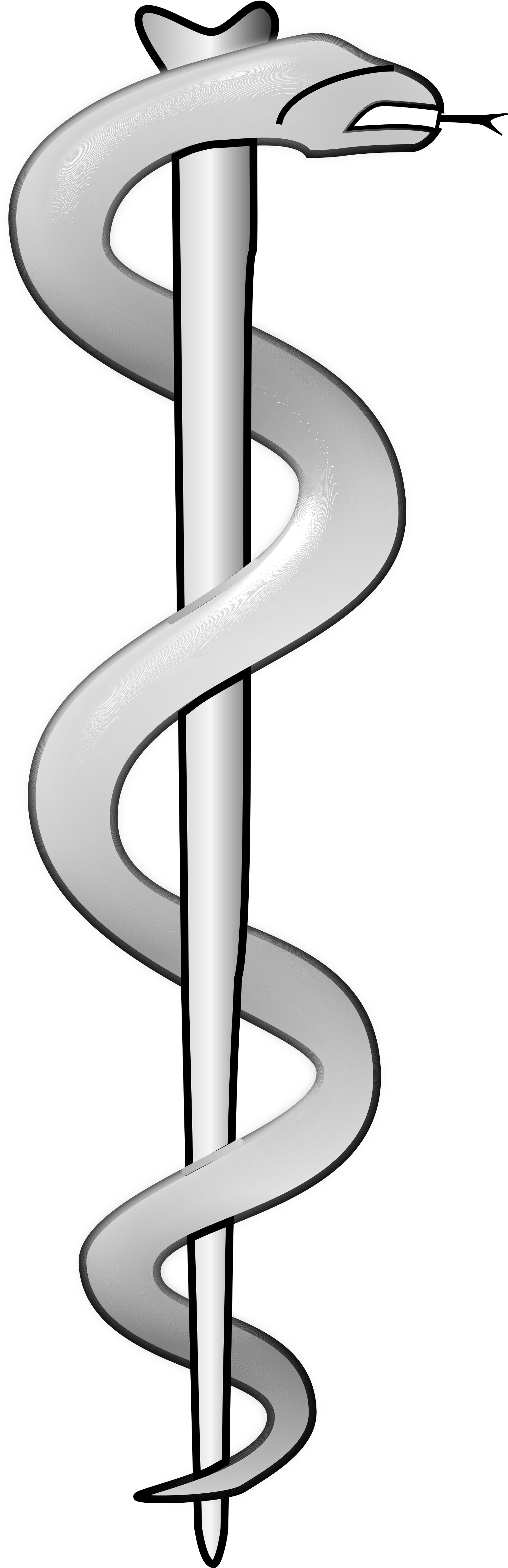 Open - Rod Of Asclepius 3d (2000x5100), Png Download