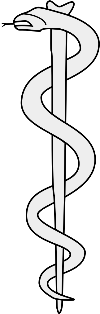 Rod Of Asclepius Left - Calligraphy (401x1023), Png Download