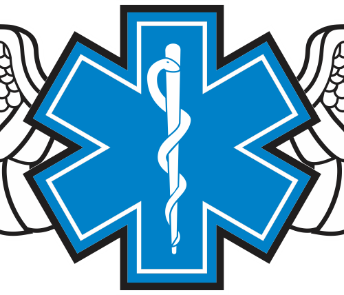 Wg#002 S1 Wings Rod Of Asclepius - Star Of Life Paramedic (500x428), Png Download