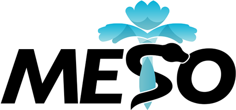 Meso Is A Non-profit, Student Run Organization At The - Student (600x223), Png Download