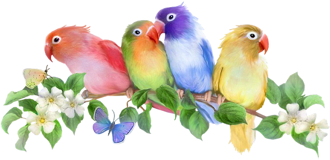 Фотки For The Birds, Bird Pictures, Art Flowers, Chant, - Good Morning My Familys (663x318), Png Download