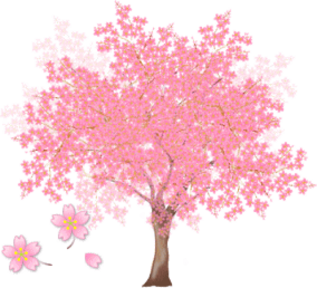 Tree (640x581), Png Download