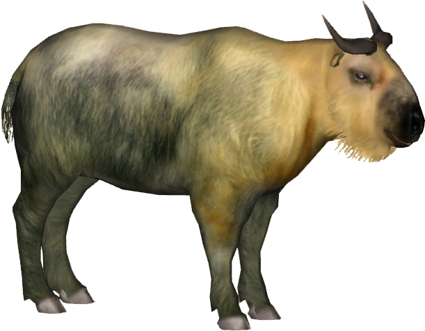 Ultimate Ungulates - Zt2 Takin (610x610), Png Download