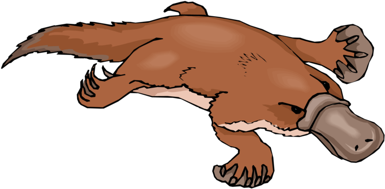 Platypus - Duck Billed Platypus Clipart (790x518), Png Download