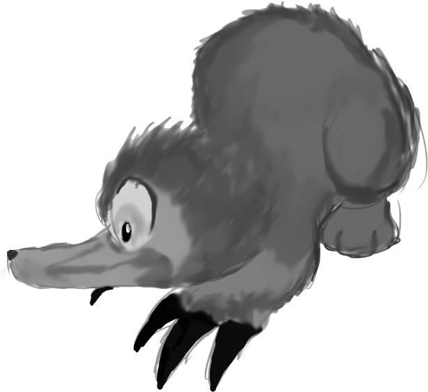 Platypus - Duck (791x1024), Png Download