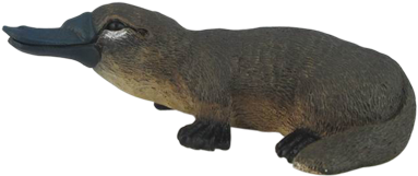 Platypus - North America (592x450), Png Download