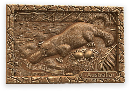 Platypus 3d Chocolate - Boar (480x422), Png Download