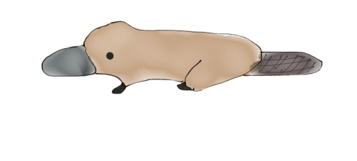 Walrus (500x500), Png Download