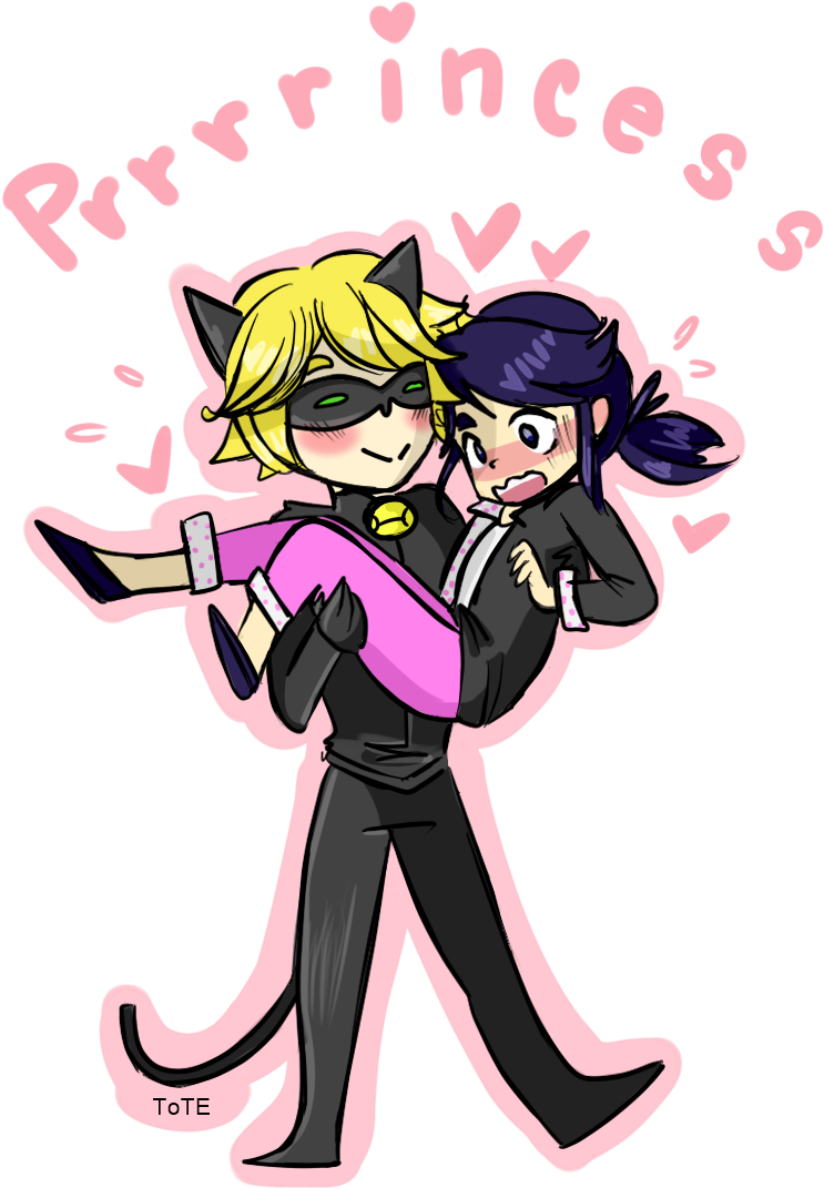 Princess By Yhoss - Miraculous: Tales Of Ladybug & Cat Noir (995x1172), Png Download