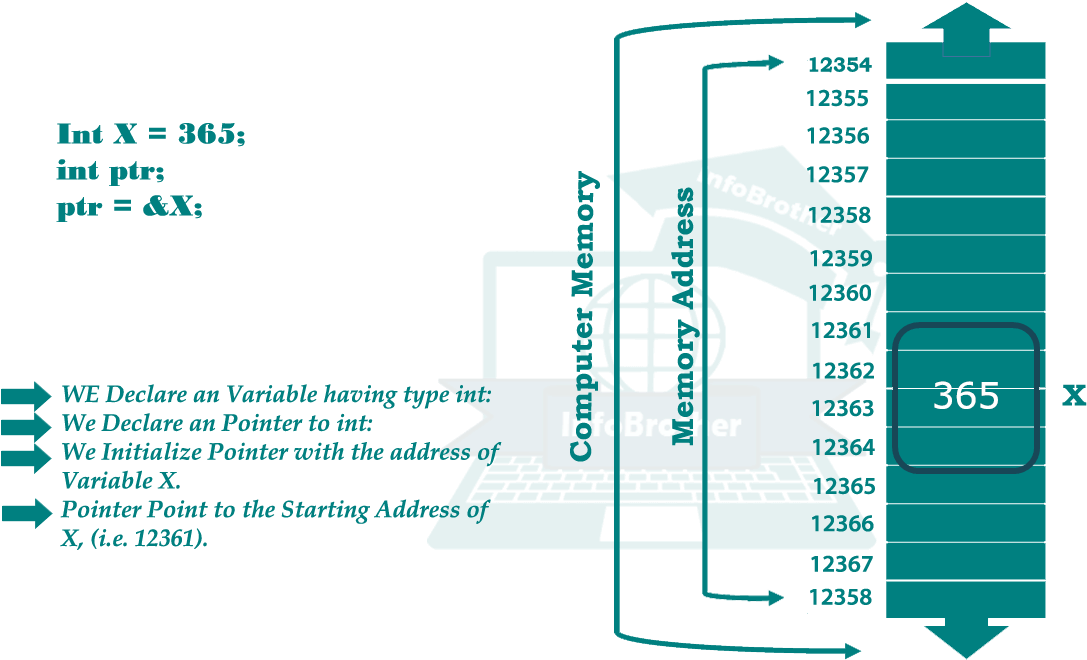 Pointer (1200x713), Png Download