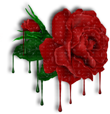 Rose - Transparent Background With Roses (386x400), Png Download