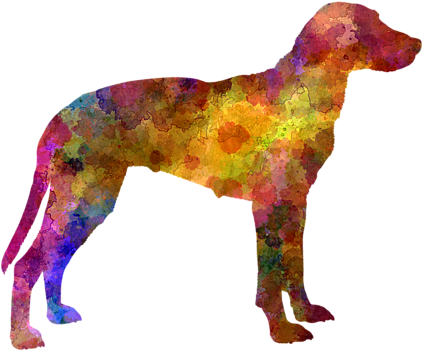Click And Drag To Re-position The Image, If Desired - Hygen Hound Im Watercolor Rundes Keramik Ornament (600x480), Png Download