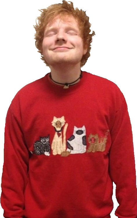 Ed Sheeran In A Sweater (499x750), Png Download