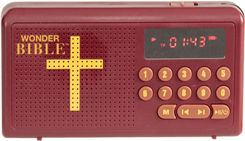 Available In Both King James Version, Or New International - Wonderbible (508x299), Png Download