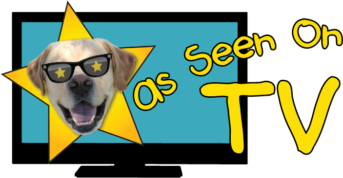 See What Makes Us A Great Pet Vet - Television (720x400), Png Download