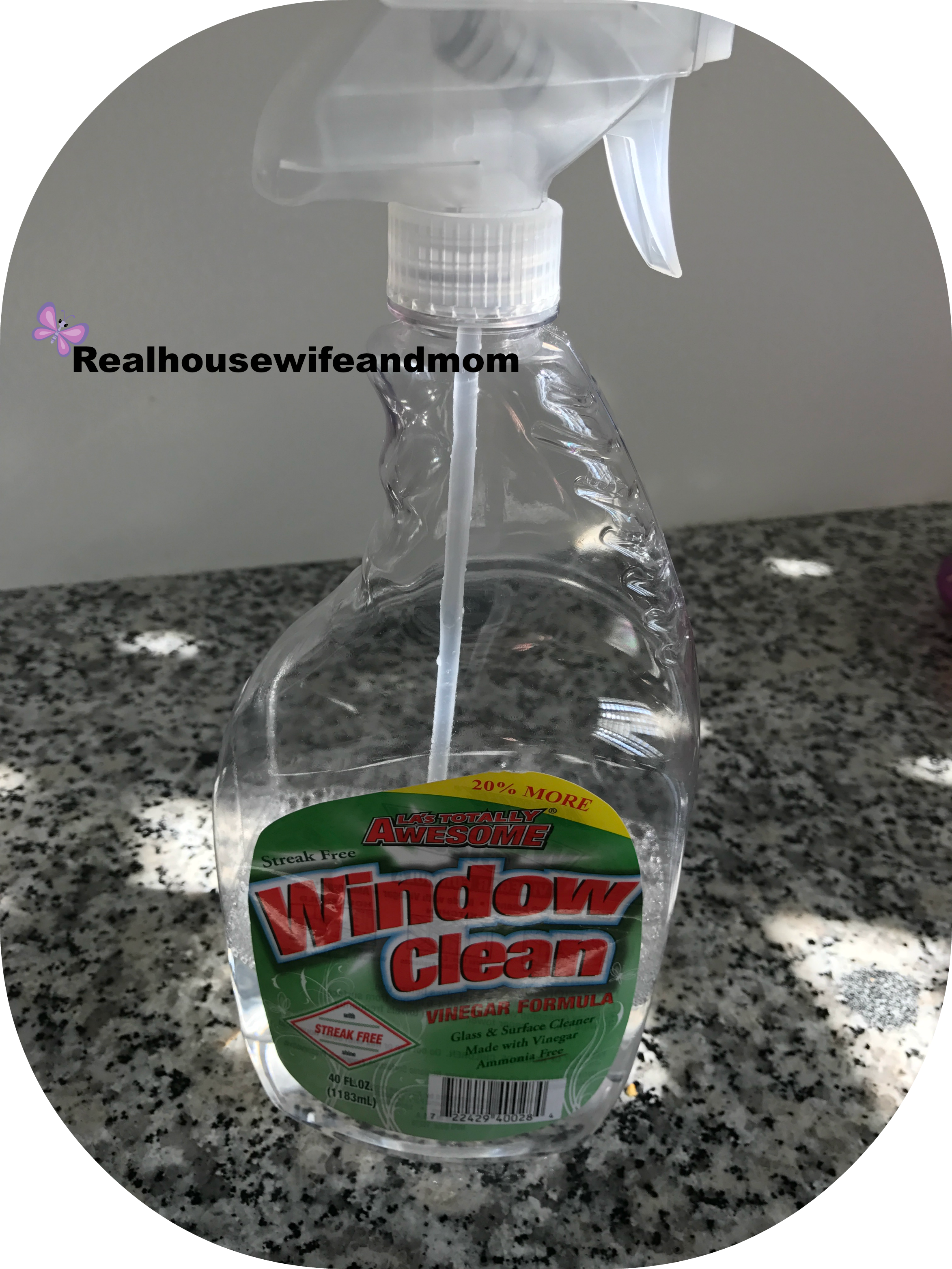 Windowcleaner1 - Window Cleaner (2346x3128), Png Download