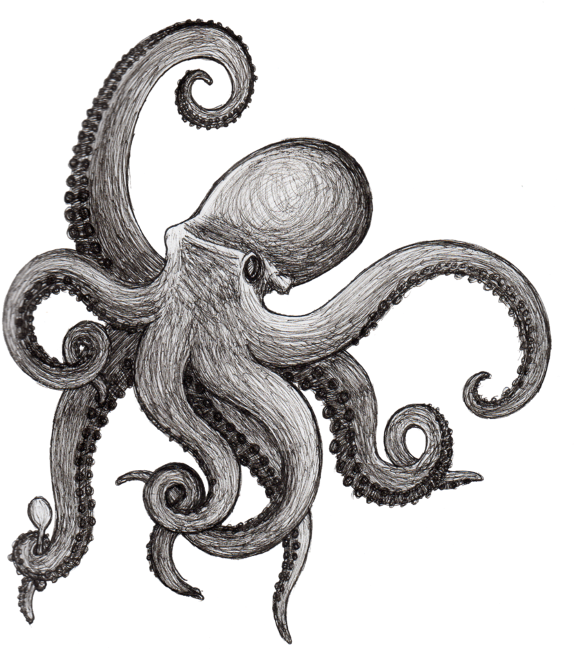 Griffe Polvo E Desenhos Pinterest Kraken - Squid Tattoo (715x800), Png Download