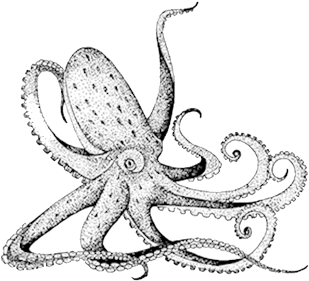 Home - Sea (500x447), Png Download