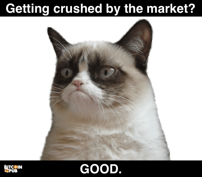 5845e0f37733c3558233c0e9 188 Kb - Grumpy Cat Postcard Book: 30 Postcards Unlimited Frowns (800x700), Png Download