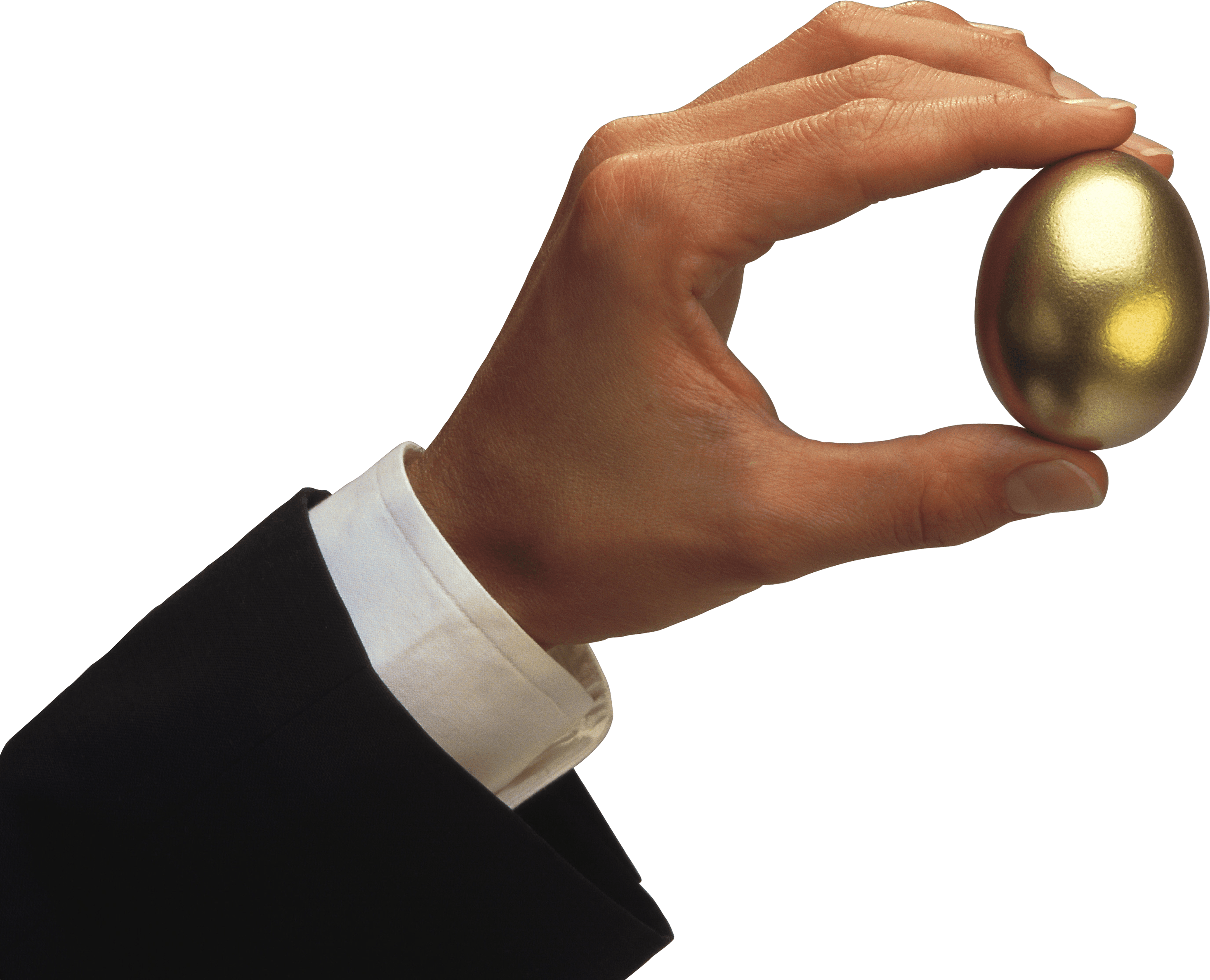 Golden Egg - Hand Holding Egg Png (2933x2375), Png Download