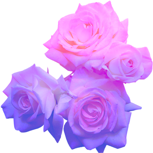 *shrugging Emoji* - Pastel Purple Flower Png (500x500), Png Download